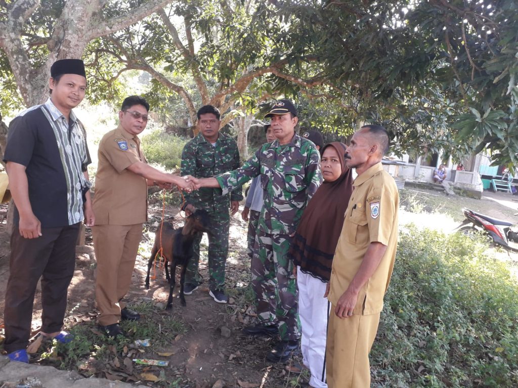 Camat Poto Tano Serahkan Bantuan Hewan Qurban 1 Ekor Kambing, Ke Satgas TMMD 113 Desa Senayan