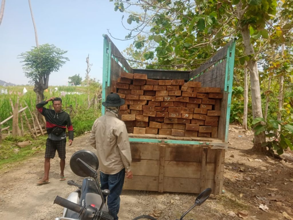 Pembalakan Liar Marak Terjadi Di Marente Alas, Aparat Terkesan Tutup Mata
