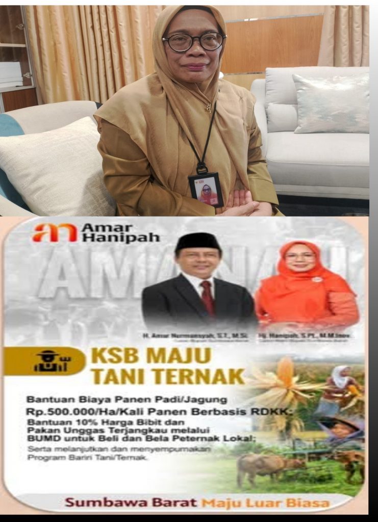 Kadis Pertanian Dan Peternakan KSB Sebut Program KSB Maju Pertanian  Berikan Subsidi panen 500 ribu / ha/ tahun