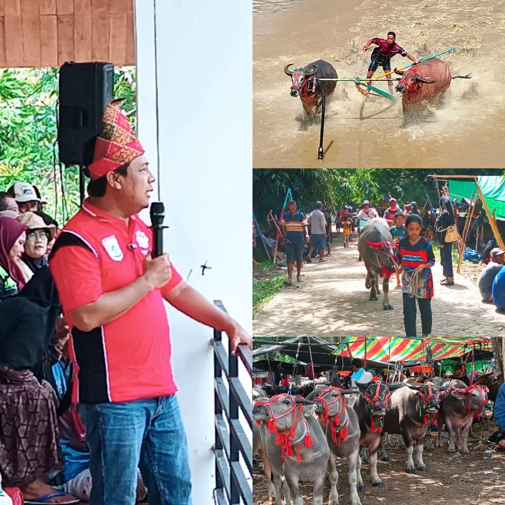 Tradisi Barapan Kebo Meriahkan Perayaan Hari Lahir ke-22 Kabupaten Sumbawa Barat